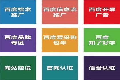 SEM竞价优化策略：成功案例解析
